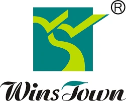 Wins Town